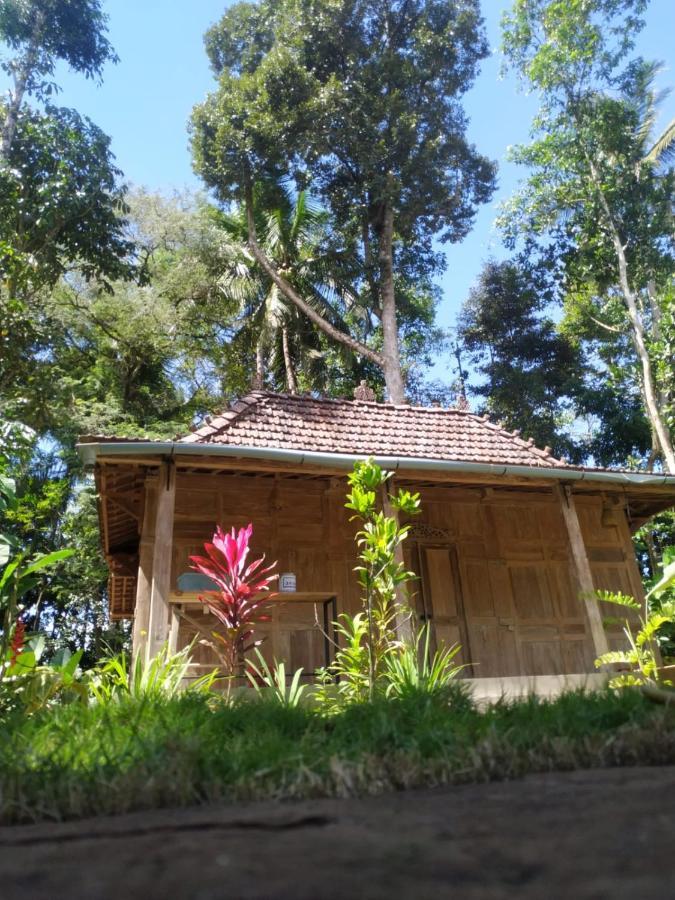 Hotel Omah Kayu Jagalan Magelang Esterno foto